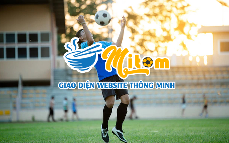 https://cdn.mitomtvf.cc/2022/08/giao-dien-website-thong-minh-de-dang-su-dung.jpg
